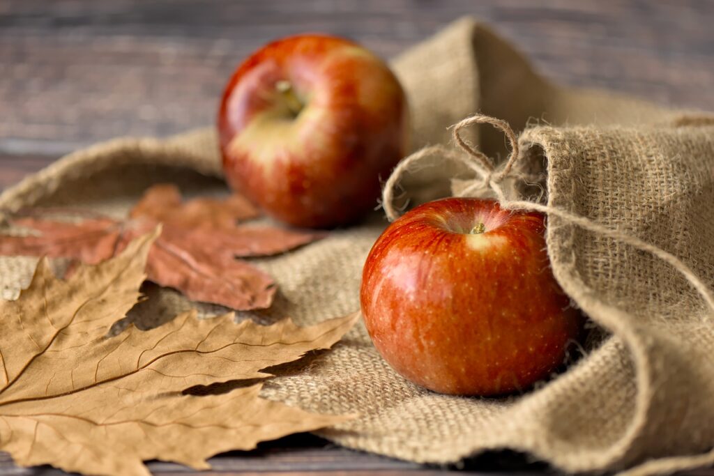 apples, fall, harvest time-7465439.jpg